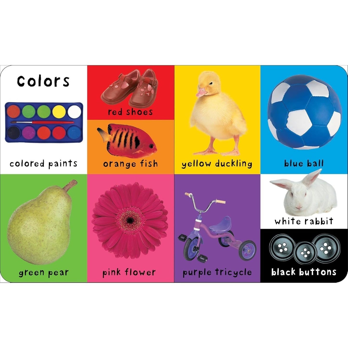 First 100 Words: A Padded Board Book