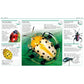Pocket Genius Bugs: Facts at Your Fingertips (Pocket Genius) (Spiral Bound)
