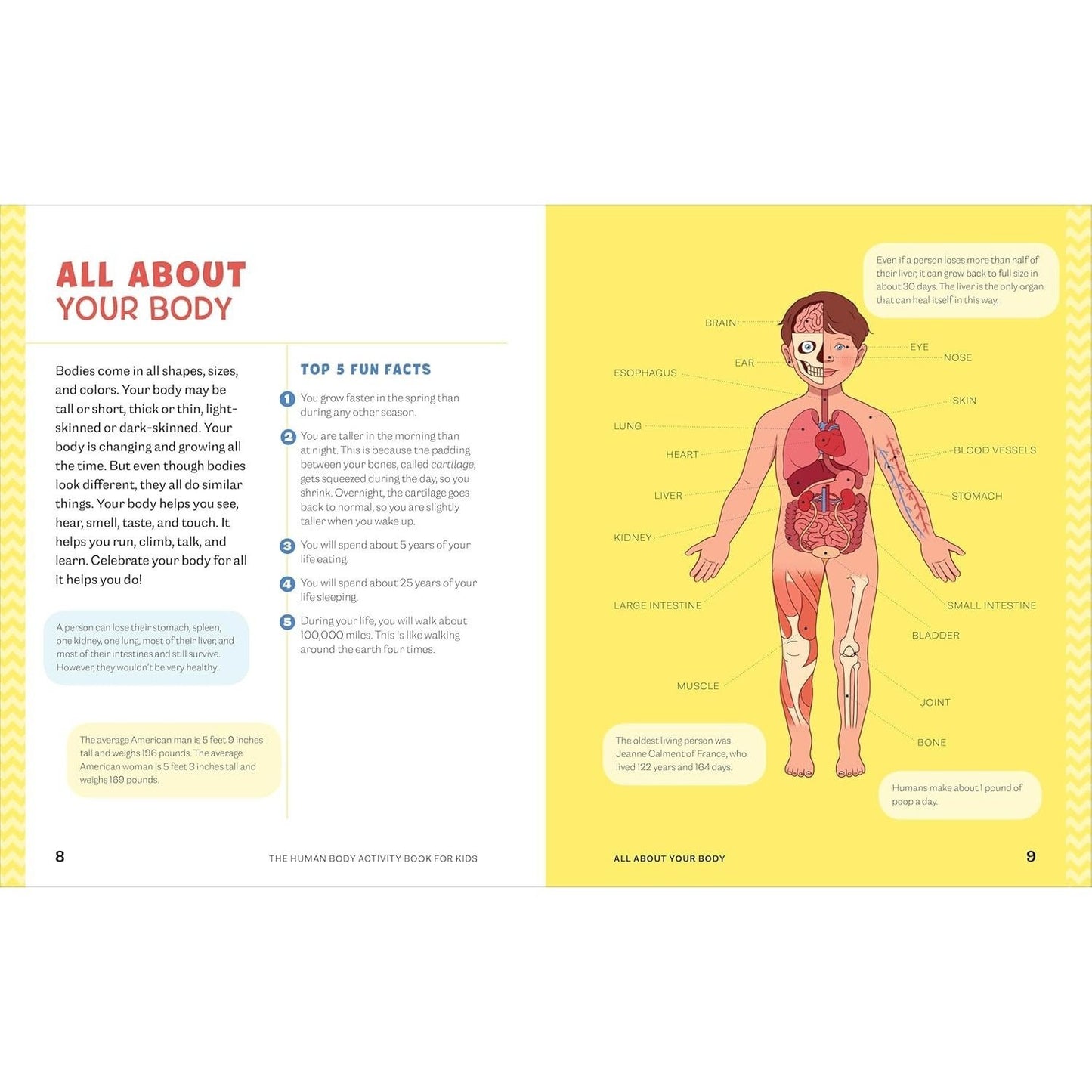 Human Body Activity Book for Kids: Hands-On Fun for Grades K-3 (Spiral Bound)