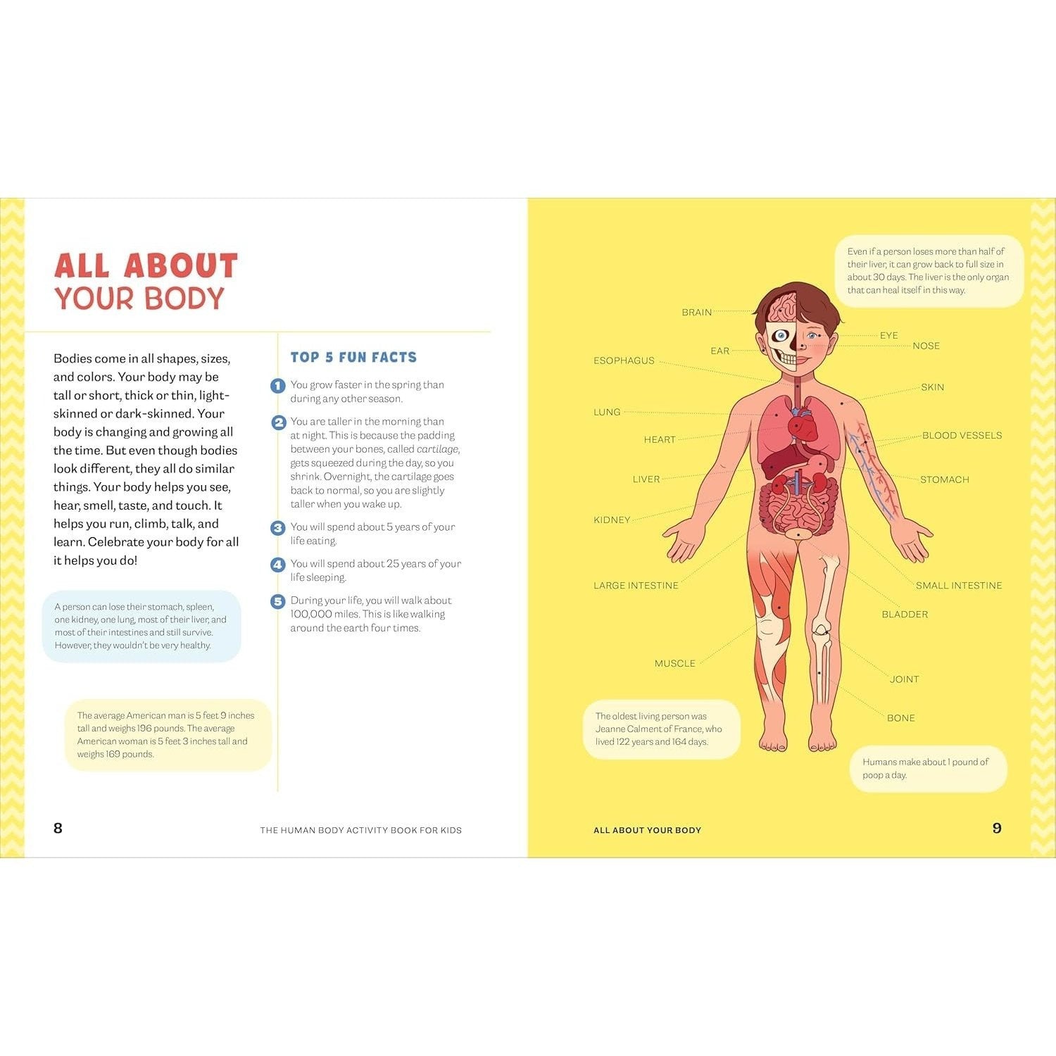 Human Body Activity Book for Kids: Hands-On Fun for Grades K-3 (Spiral Bound)