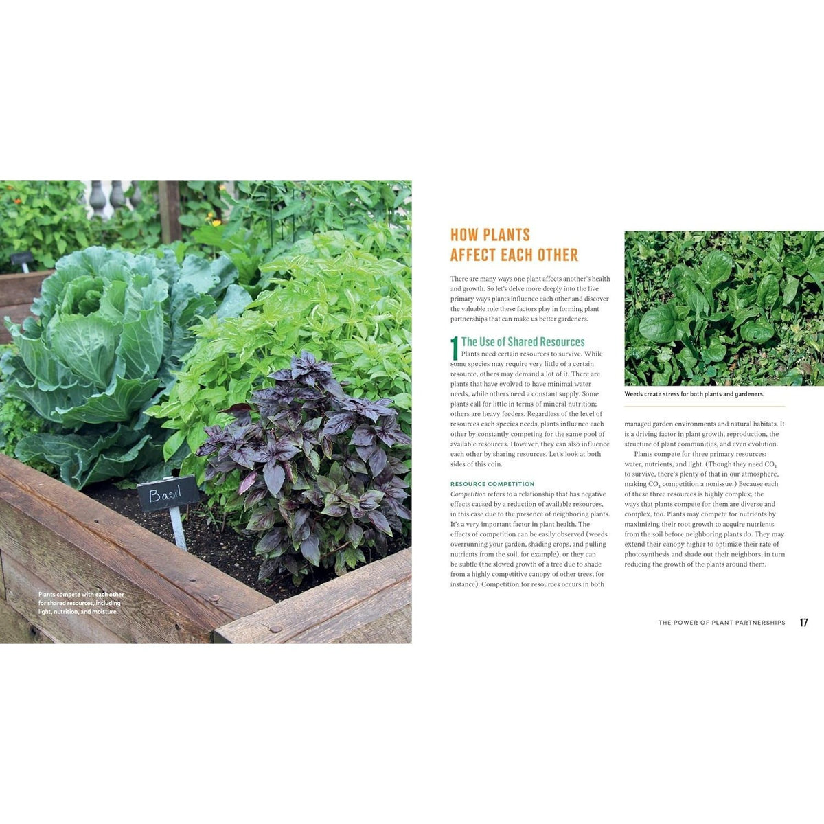 Plant Partners: Science-Based Companion Planting Strategies for the Vegetable Garden (Spiral Bound)