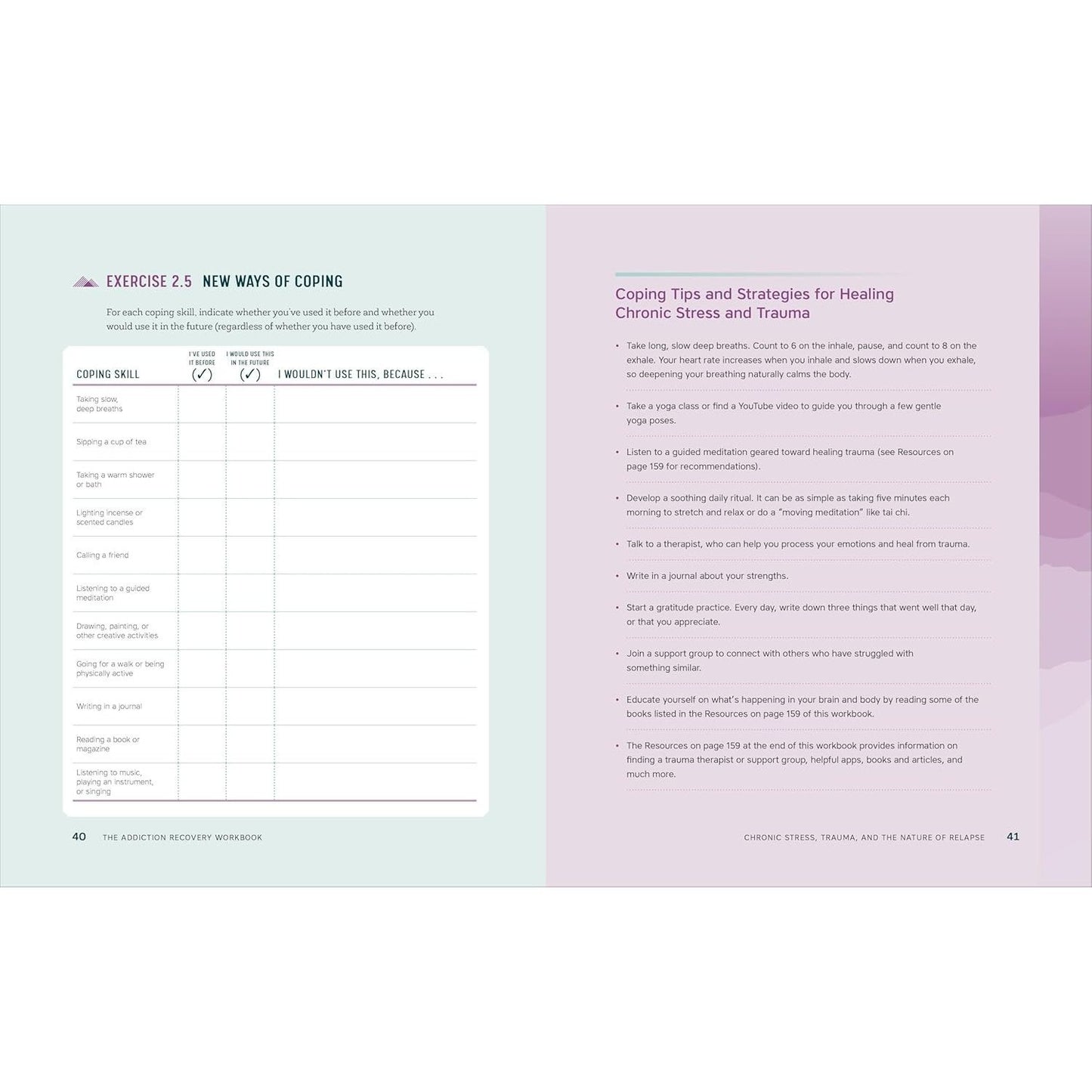 The Addiction Recovery Workbook: Powerful Skills for Preventing Relapse Every Day (Addiction Recovery Resources)