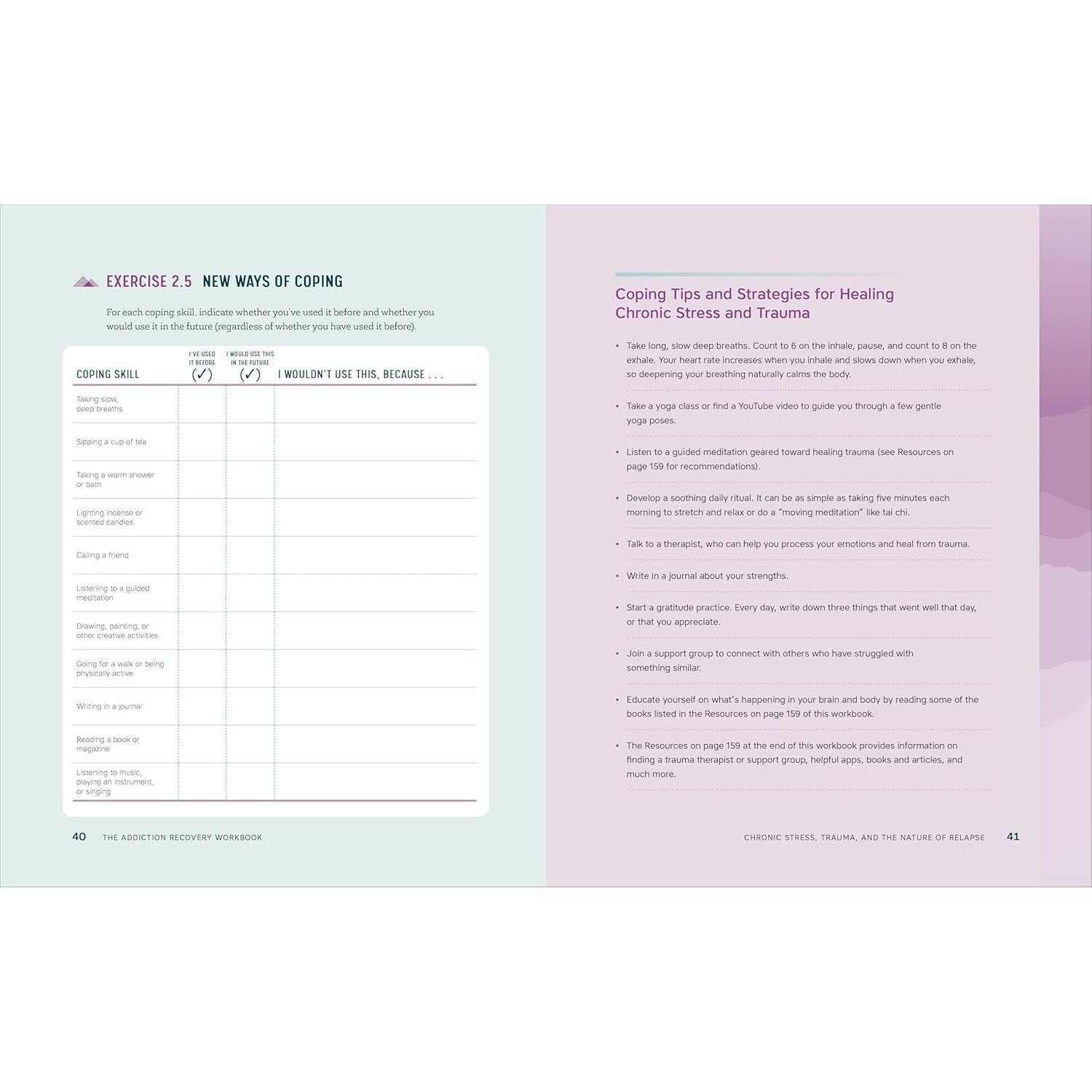 The Addiction Recovery Workbook: Powerful Skills for Preventing Relapse Every Day (Addiction Recovery Resources)