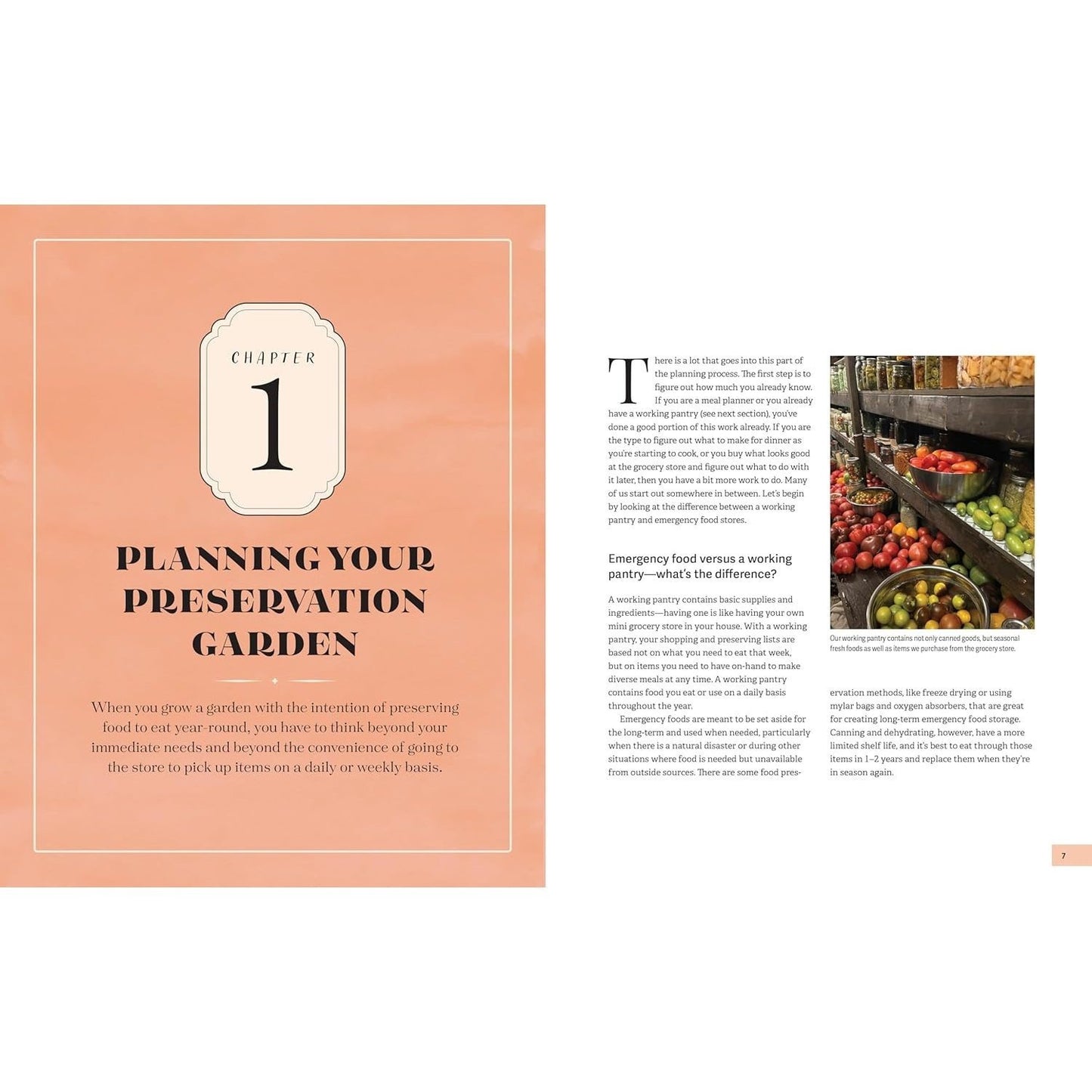 The Preserver's Garden: How to Grow a Garden for Fermenting, Canning, Pickling, Dehydrating, Freeze Drying, and More