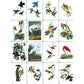Audubon's Birds of America Coloring Book