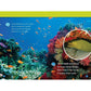 In the Ocean (National Geographic Kids Readers, Level 1/Co-Reader) (National Geographic Kids Readers) (Spiral Bound)