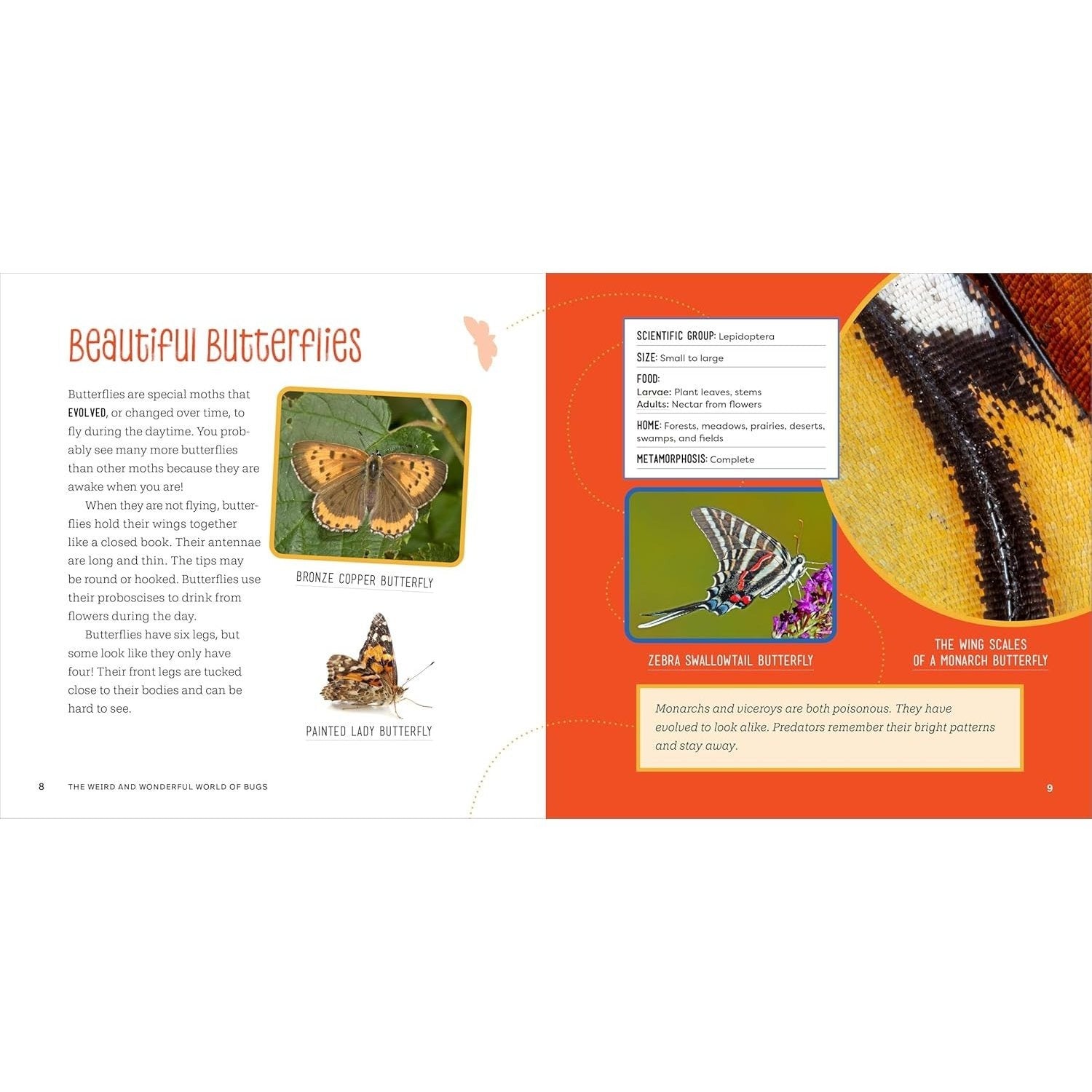 The Weird and Wonderful World of Bugs: A Book about Beetles, Butterflies, and Other Fascinating Insects