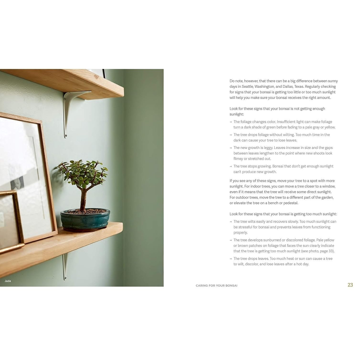The Little Book of Bonsai: An Easy Guide to Caring for Your Bonsai Tree