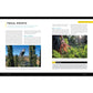 National Geographic Photo Basics: The Ultimate Beginner's Guide to Great Photography (Spiral Bound)
