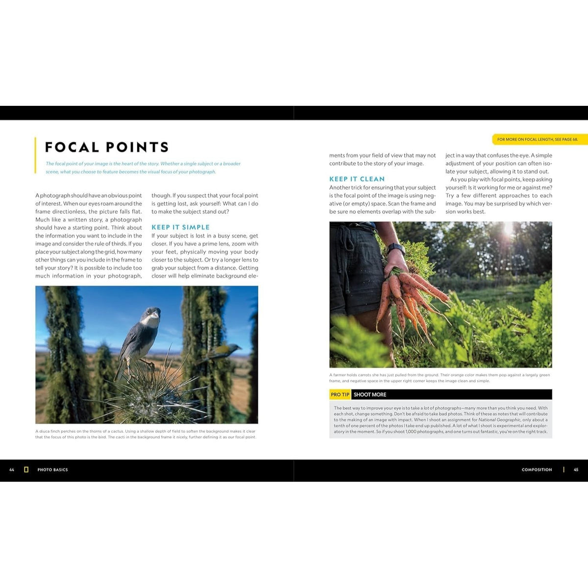 National Geographic Photo Basics: The Ultimate Beginner's Guide to Great Photography (Spiral Bound)