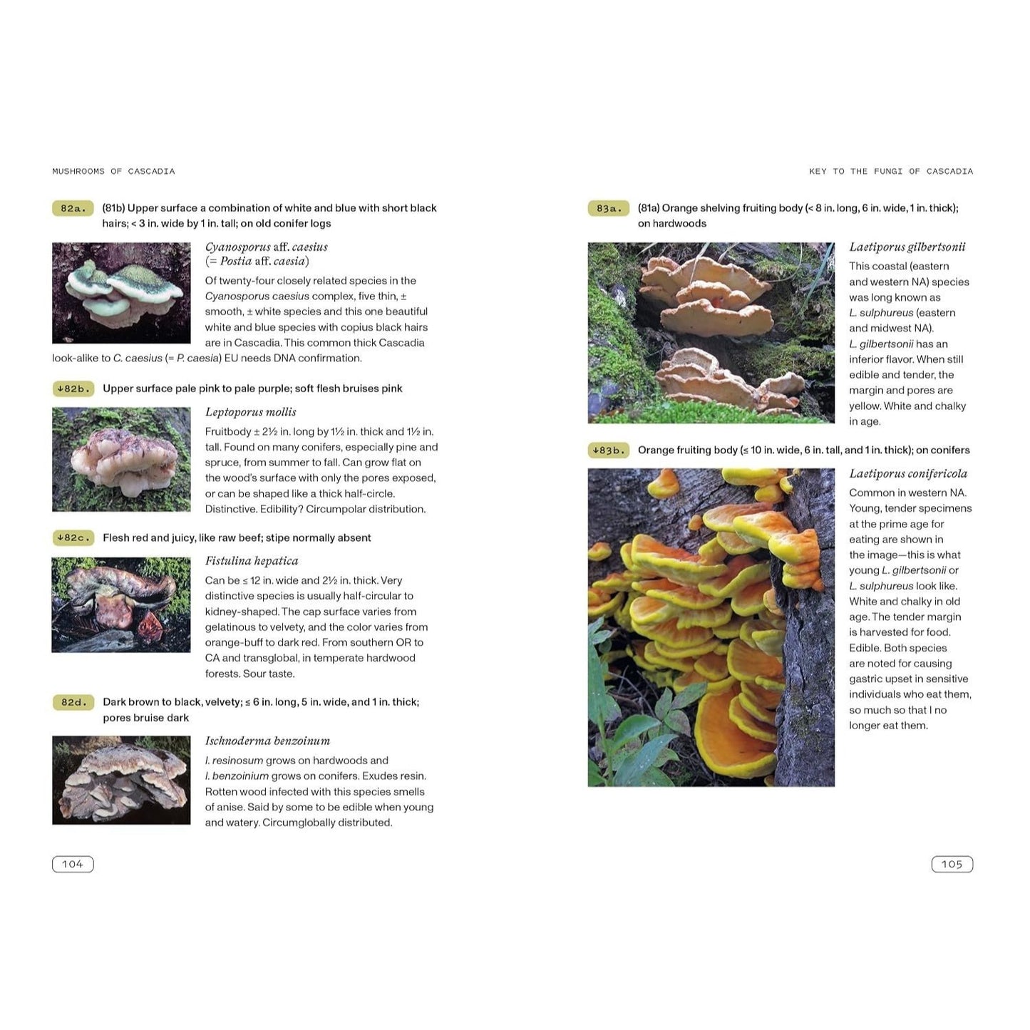 Mushrooms of Cascadia, Second Edition: An Illustrated Key to the Fungi of the Pacific Northwest