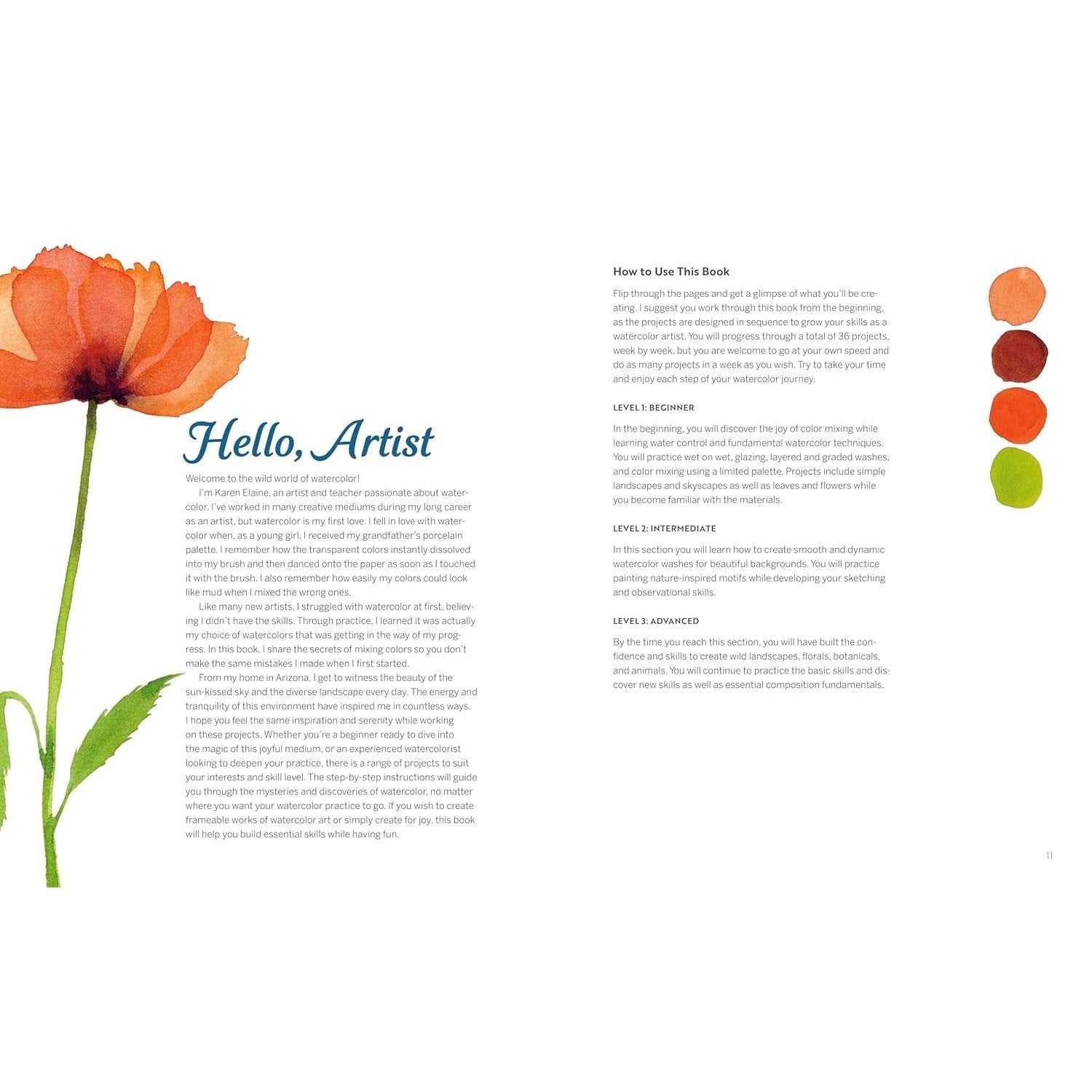 Wild Watercolor: Weekly Lessons and Techniques for Stunning Creations (Spiral Bound)