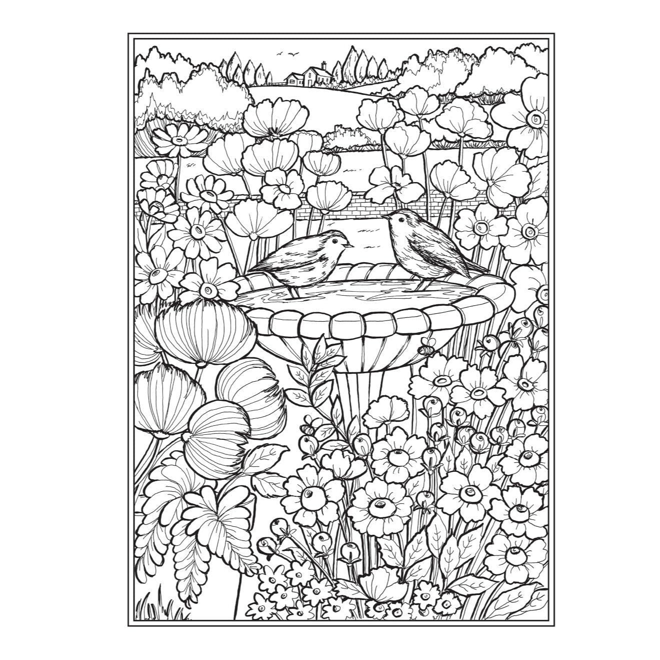 Creative Haven Country Gardens Coloring Book