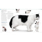 The Cat Encyclopedia: The Definitive Visual Guide (DK Pet Encyclopedias) (Spiral Bound)