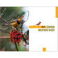North American Bird Watching for Beginners: Field Notes on 150 Species to Start Your Birding Adventures (Spiral Bound)