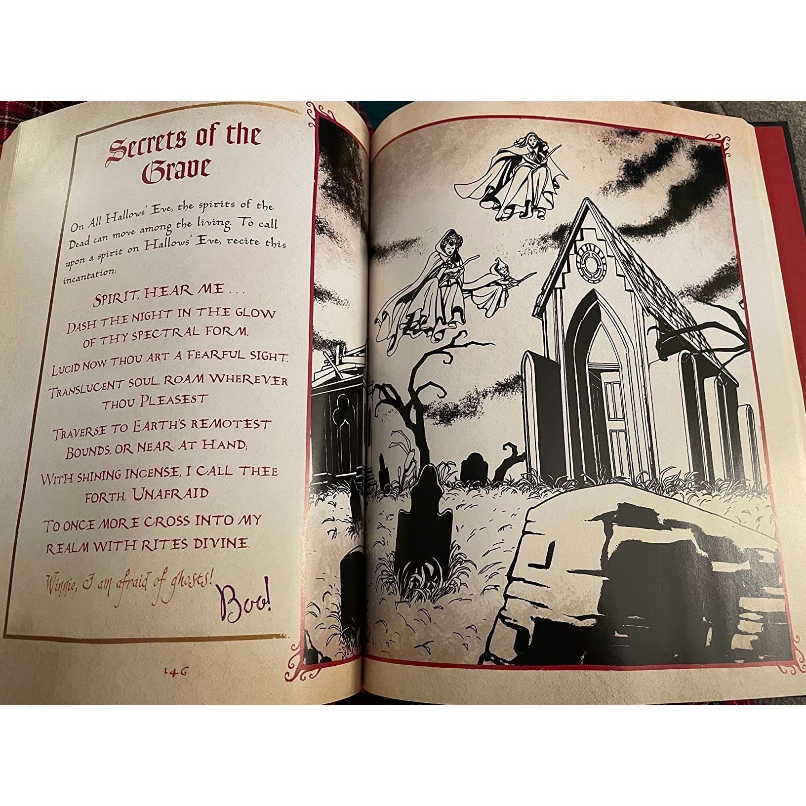 The Hocus Pocus Spell Book (Spiral Bound)