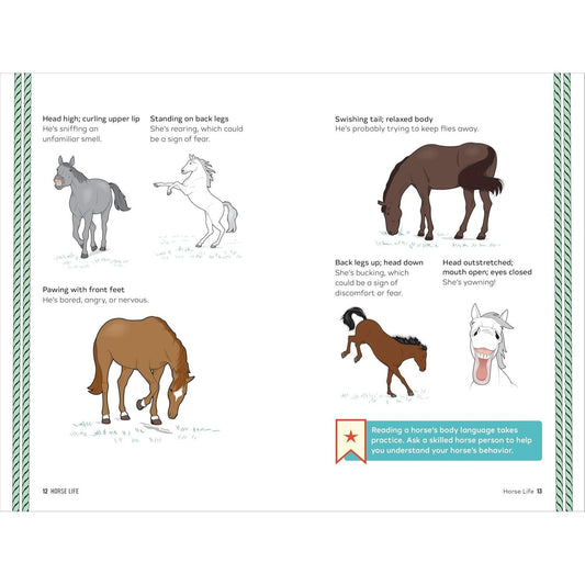 Horse Life: The Ultimate Guide to Caring for and Riding Horses for Kids