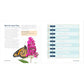 Butterflies for Kids: A Junior Scientist's Guide to the Butterfly Life Cycle and Beautiful Species to Discover