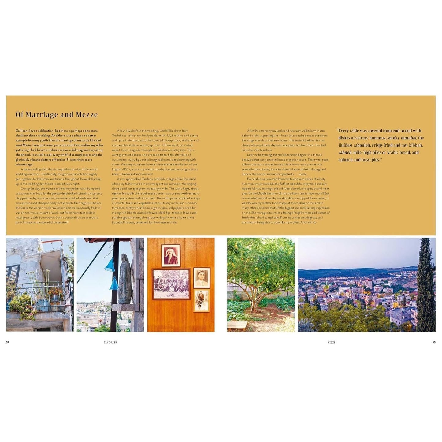 Tanoreen: Palestinian Home Cooking in Diaspora; A New and Expanded Edition of Olives, Lemons, and Za'atar
