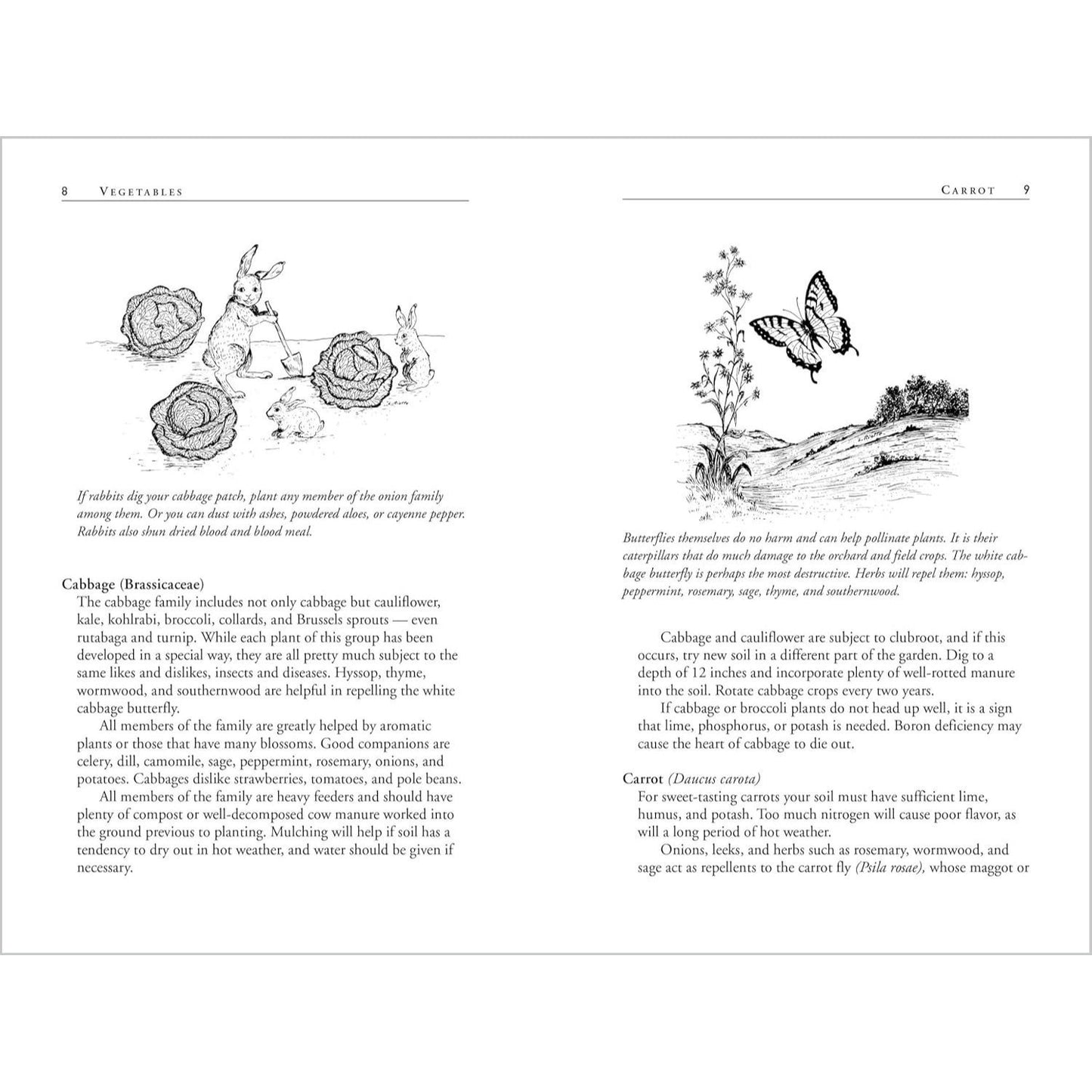 Carrots Love Tomatoes: Secrets of Companion Planting for Successful Gardening (Rev and Updated) (2ND ed.) (Spiral Bound)