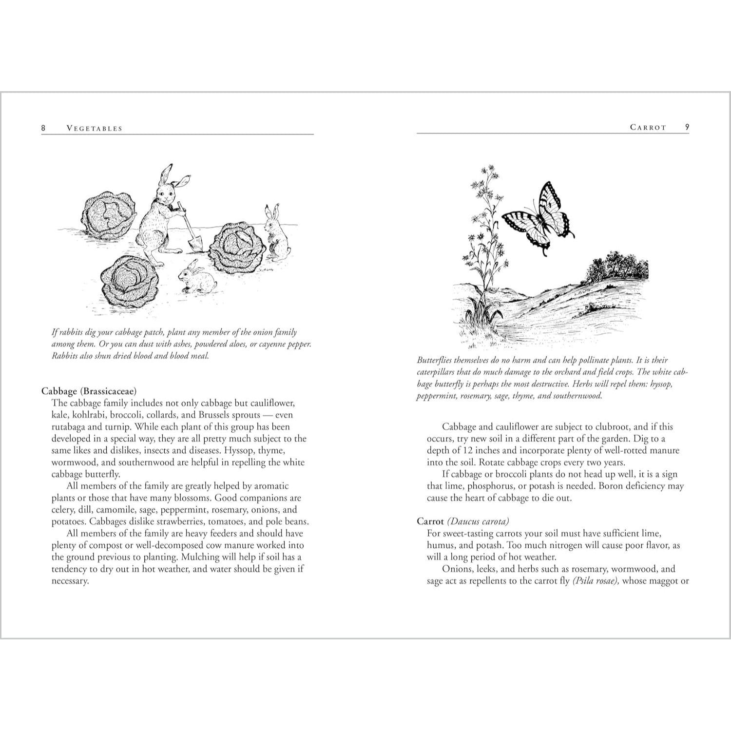 Carrots Love Tomatoes: Secrets of Companion Planting for Successful Gardening (Rev and Updated) (2ND ed.) (Spiral Bound)