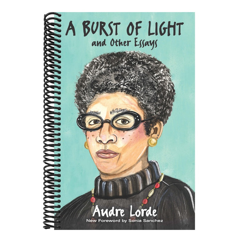 A Burst of Light and Other Essays