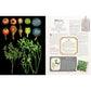 100 Plants That Heal: The Illustrated Herbarium of Medicinal Plants