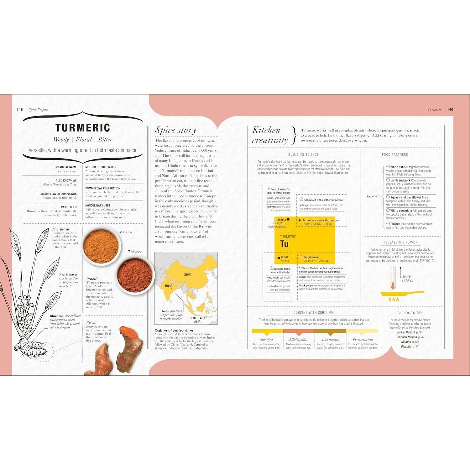 The Science of Spice: Understand Flavor Connections and Revolutionize Your Cooking (Spiral Bound)