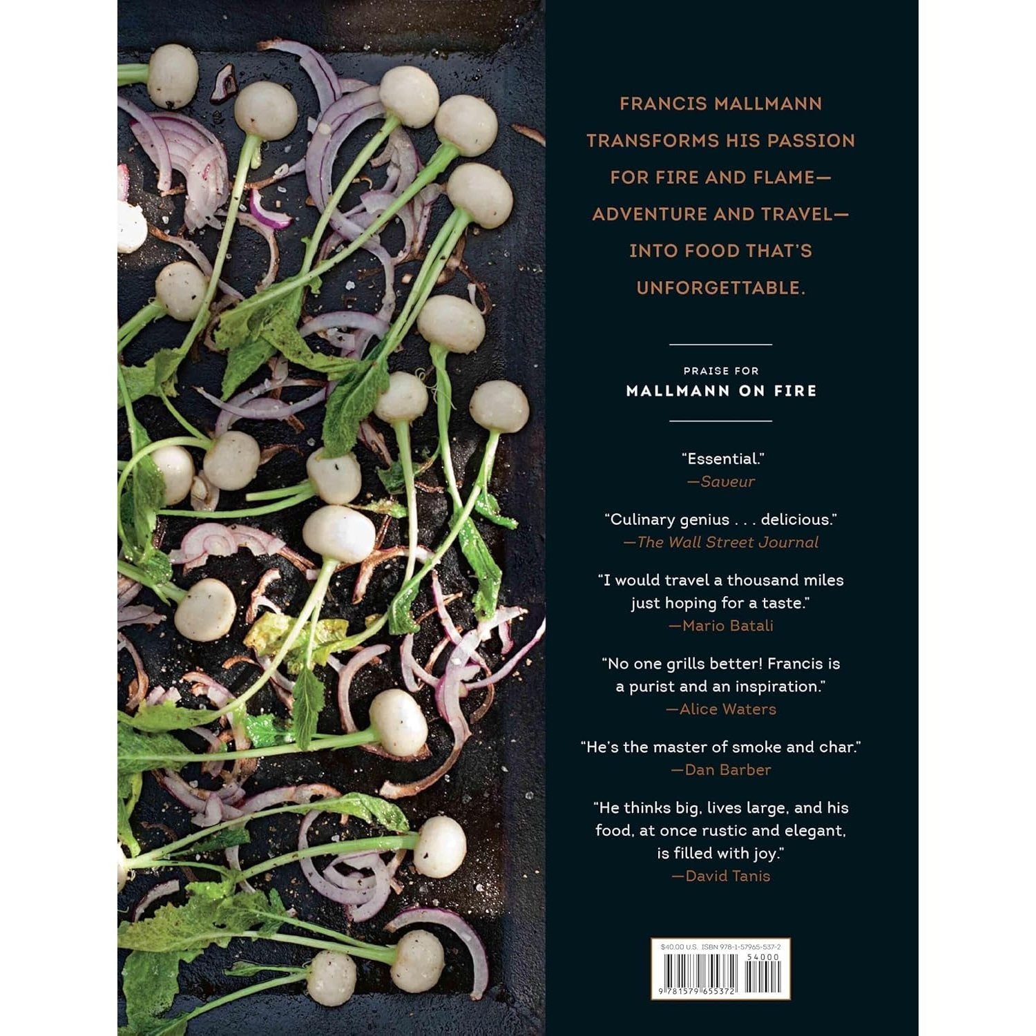 Mallmann on Fire: 100 Inspired Recipes to Grill Anytime, Anywhere