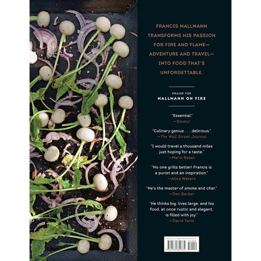 Mallmann on Fire: 100 Inspired Recipes to Grill Anytime, Anywhere