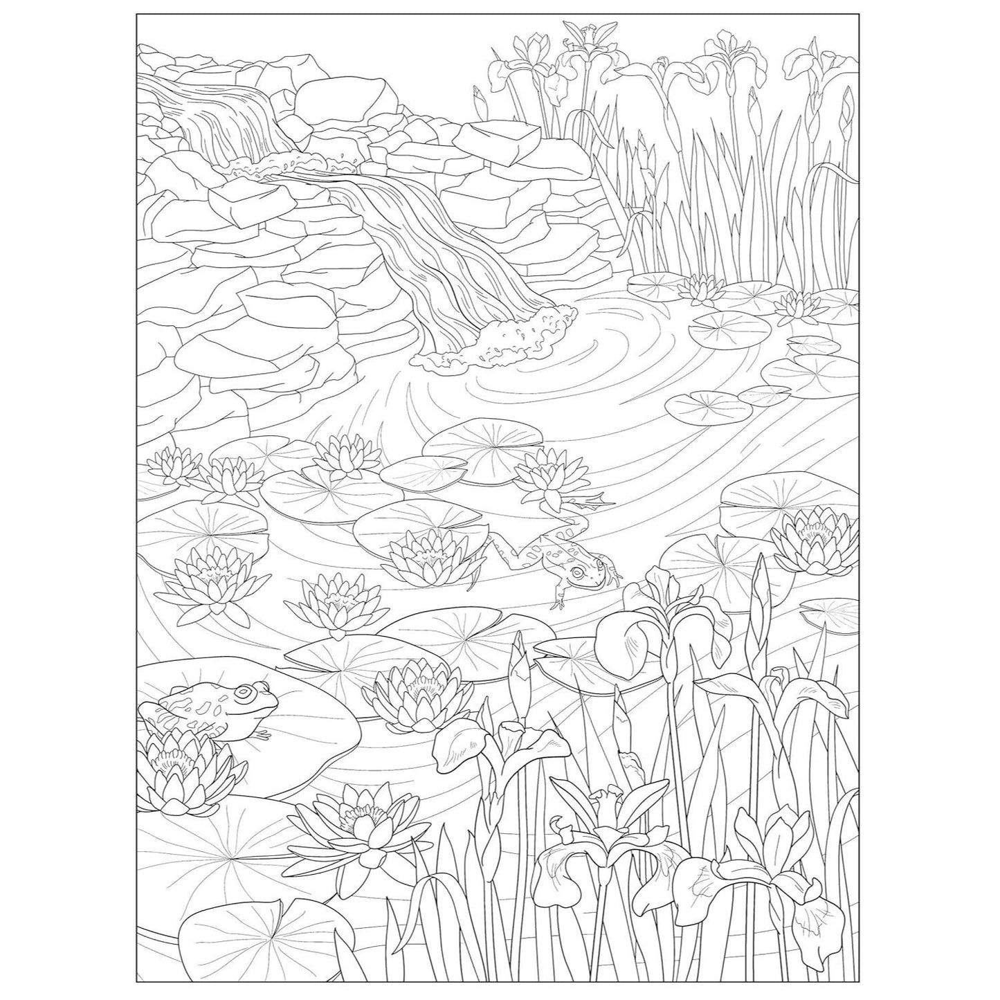 Creative Haven Wildflowers Coloring Book