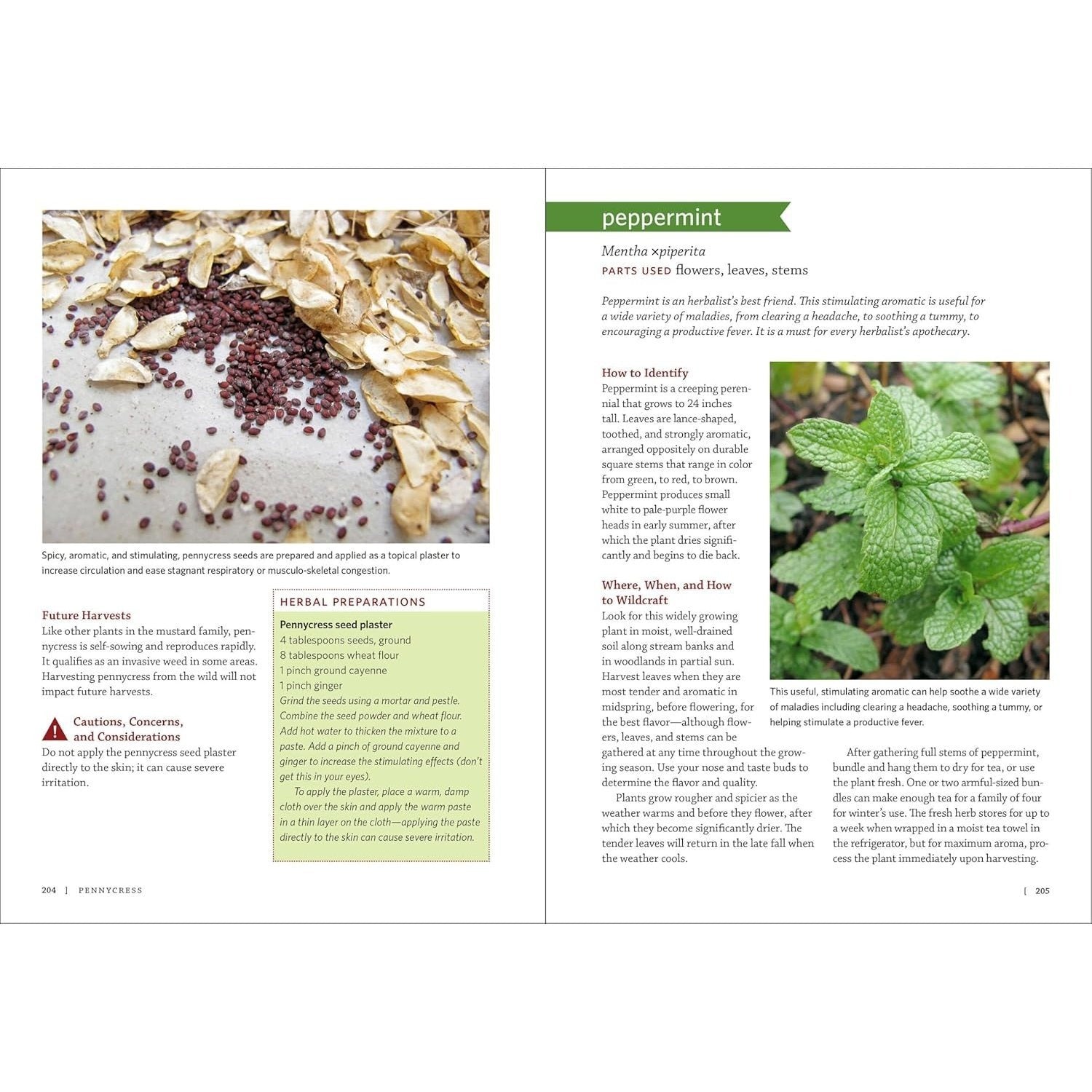 Midwest Medicinal Plants: Identify, Harvest, and Use 109 Wild Herbs for Health and Wellness (Medicinal Plants) (Spiral Bound)