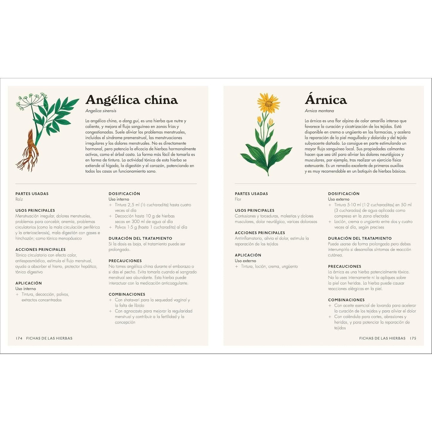 Plantas Medicinales (the Home Herbal): Guía Práctica de Remedios Caseros Para Cuerpo Y Mente