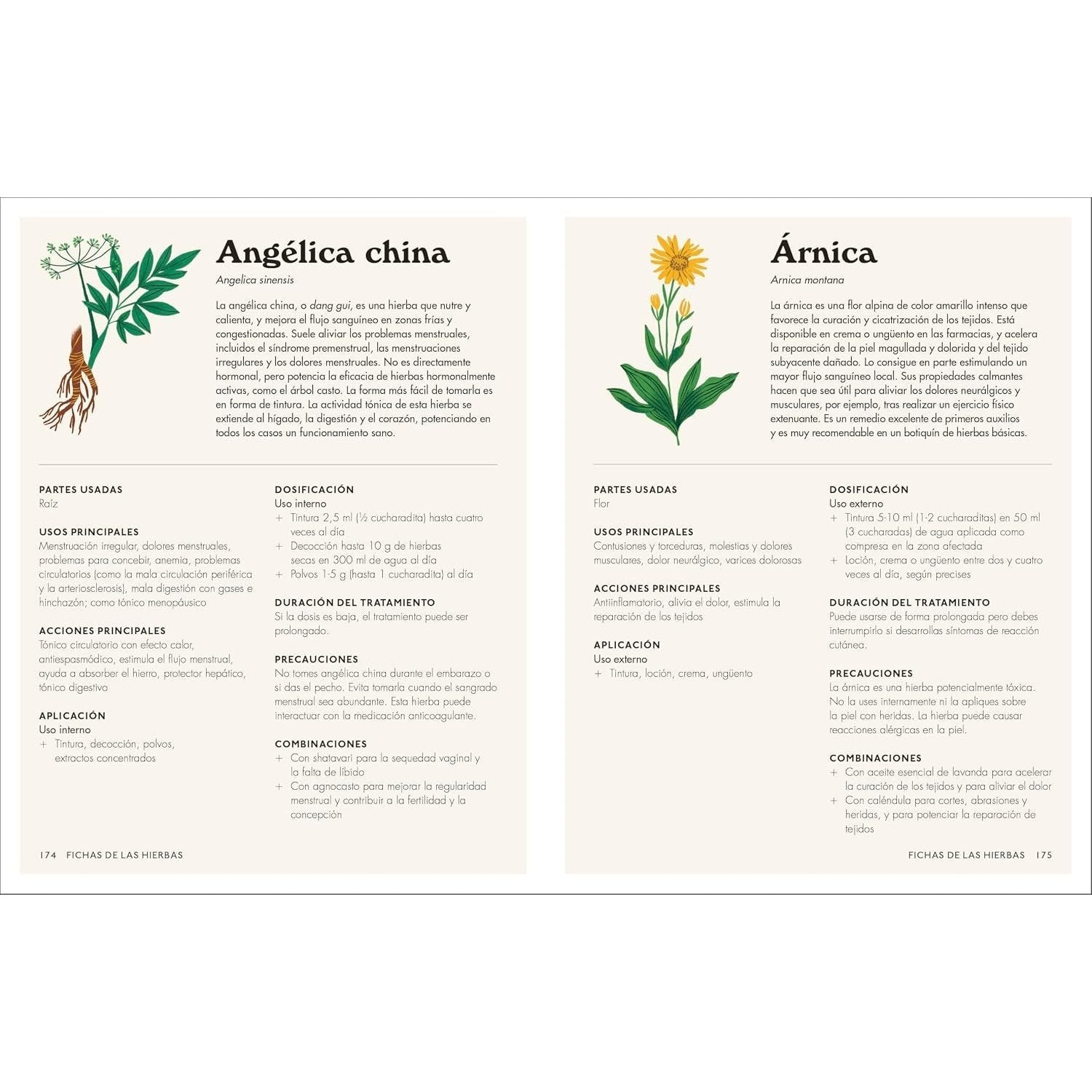 Plantas Medicinales (the Home Herbal): Guía Práctica de Remedios Caseros Para Cuerpo Y Mente