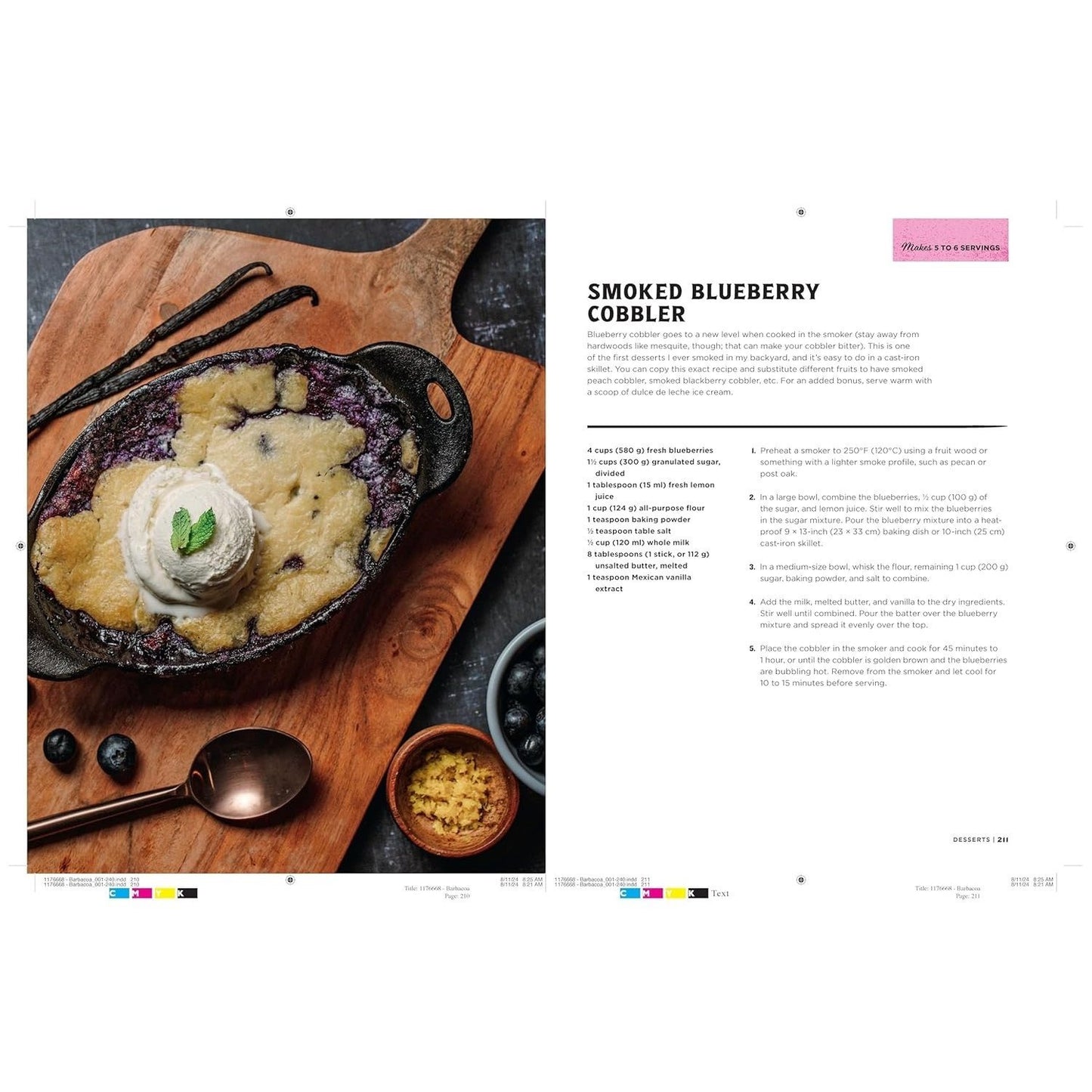 Barbacoa: The Heart of Tex-Mex Barbecue (Spiral Bound)
