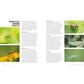 Companion Planting for Beginners: Pair Your Plants for a Bountiful, Chemical-Free Vegetable Garden (Spiral Bound)