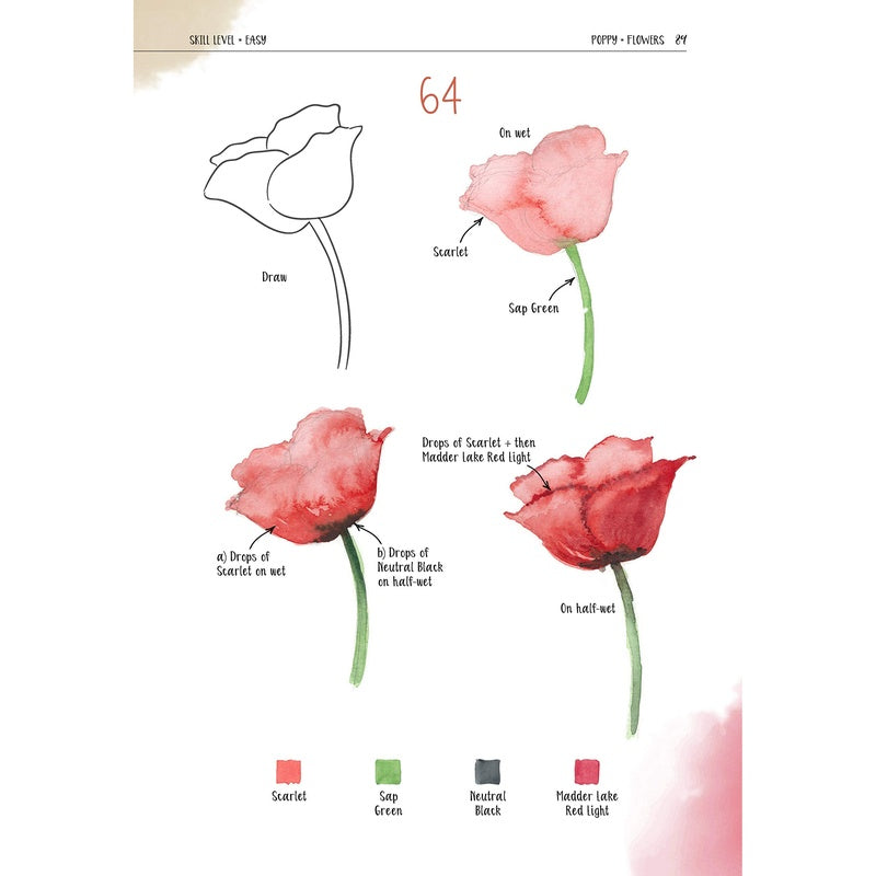 Watercolor Success in Four Steps: 150 Skill-Building Projects to Paint (Spiral Bound)