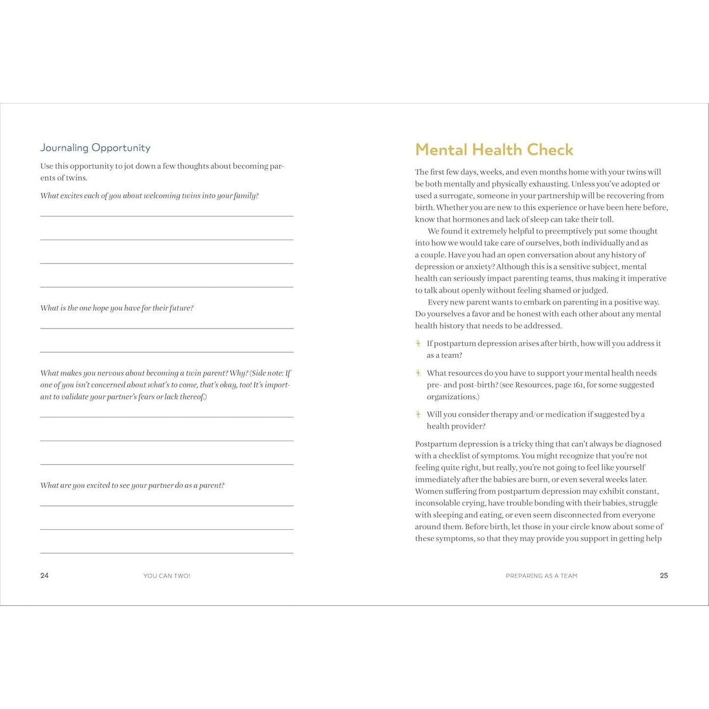 You Can Two!: The Essential Twins Preparation Guide