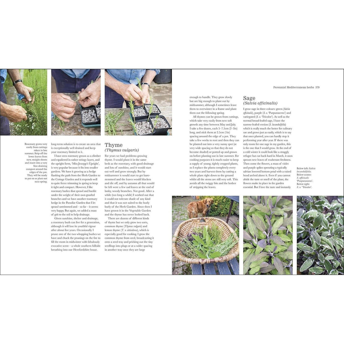 The Complete Gardener: A Practical, Imaginative Guide to Every Aspect of Gardening (Spiral Bound)