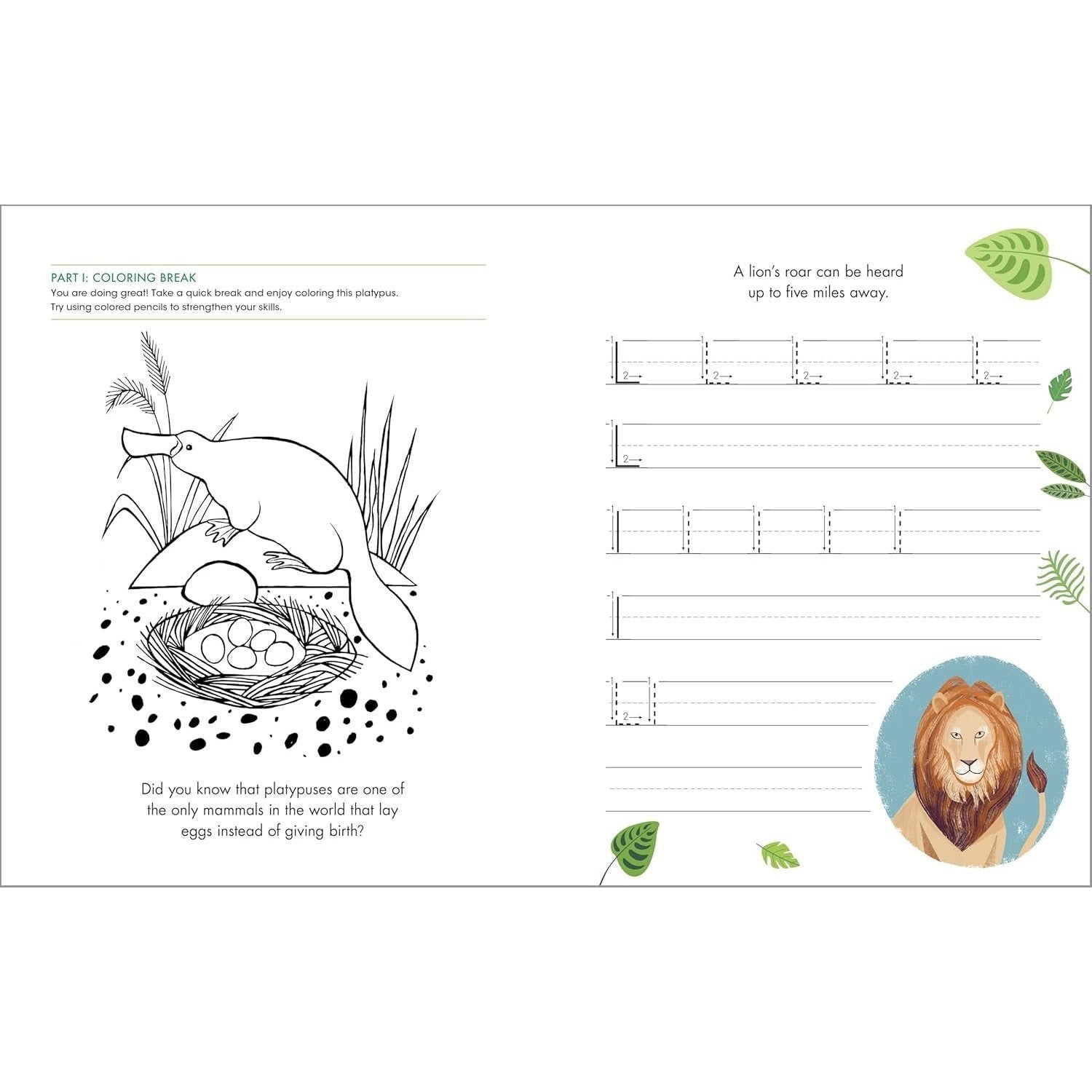 The Print Penmanship Workbook for Kids: Improve Your Handwriting with Fun Animal Facts