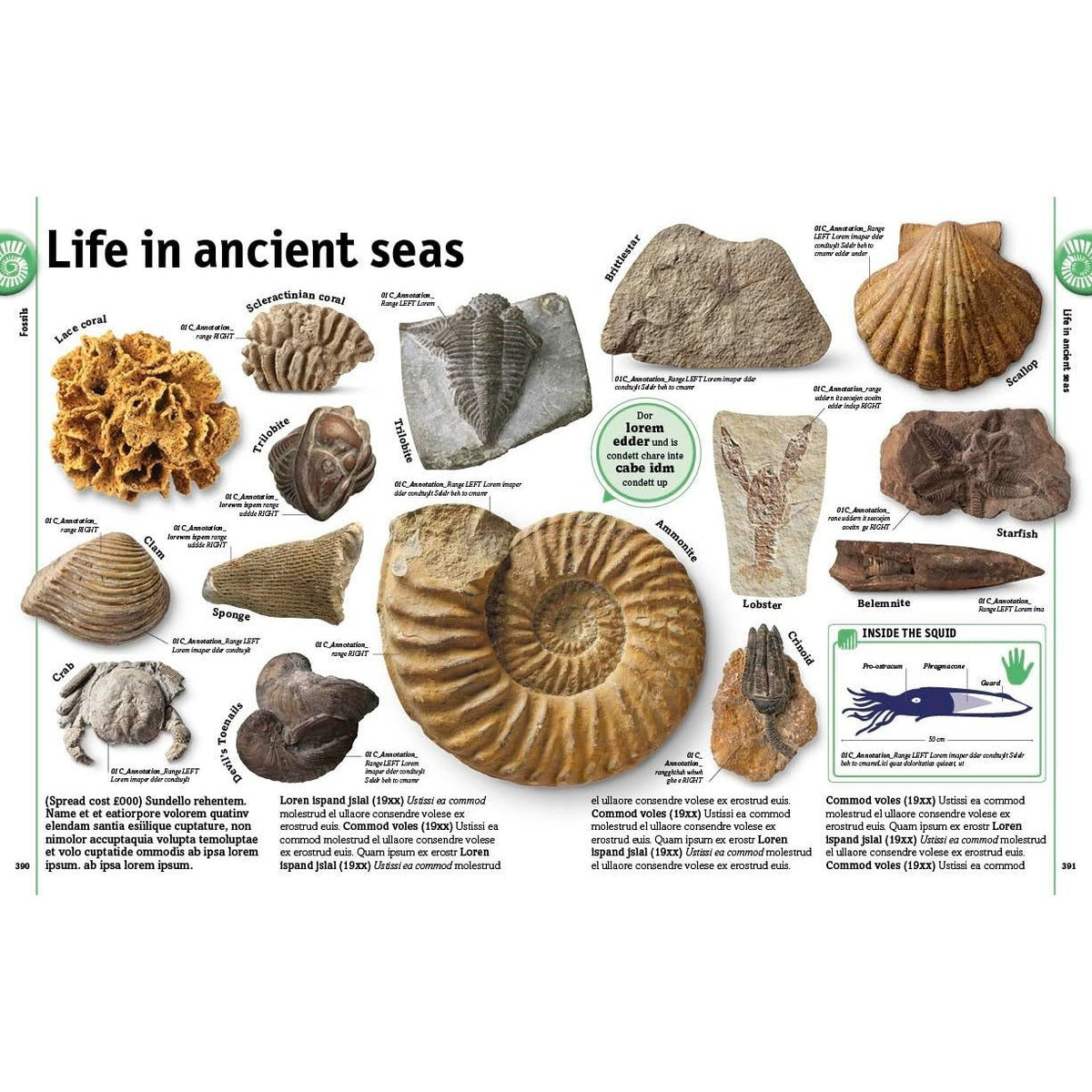 The Rock and Gem Book: And Other Treasures of the Natural World (DK Our World in Pictures) (Spiral Bound)