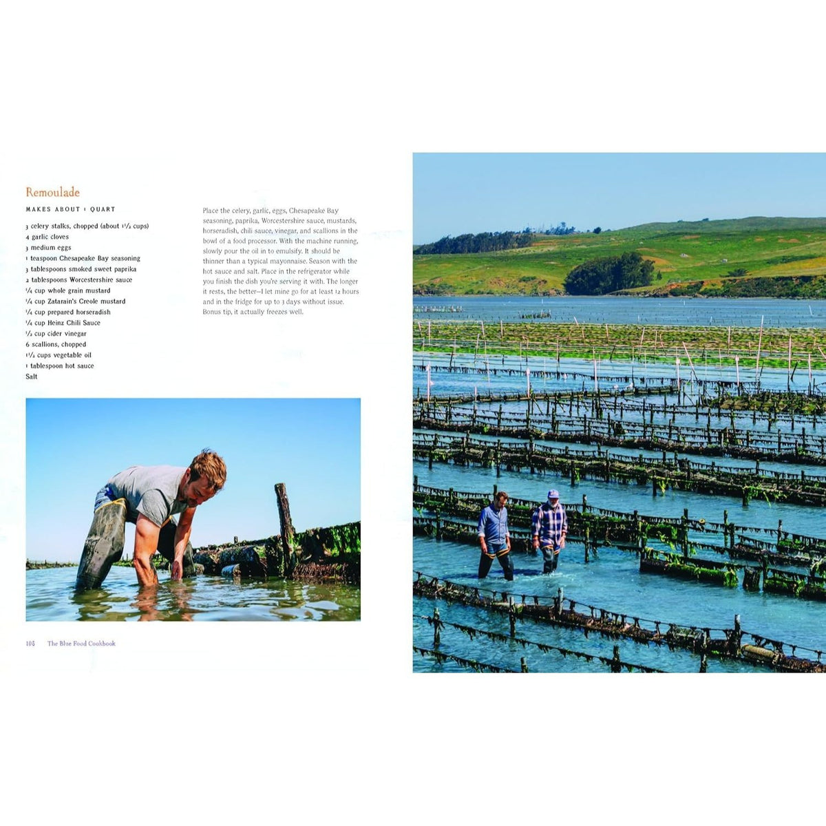 The Blue Food Cookbook: Delicious Seafood Recipes for a Sustainable Future