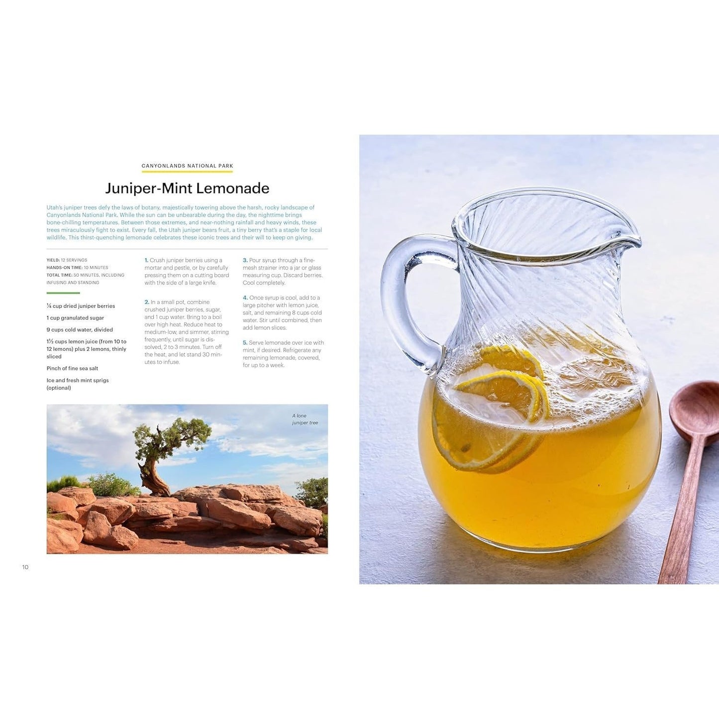 National Geographic National Parks Cookbook: Dishes Inspired by America's Great Outdoors