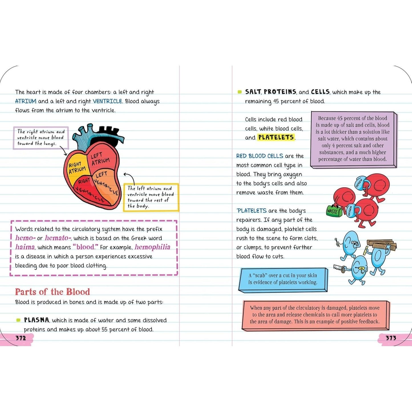 Everything You Need to Ace Biology in One Big Fat Notebook (Big Fat Notebooks) (Spiral Bound)