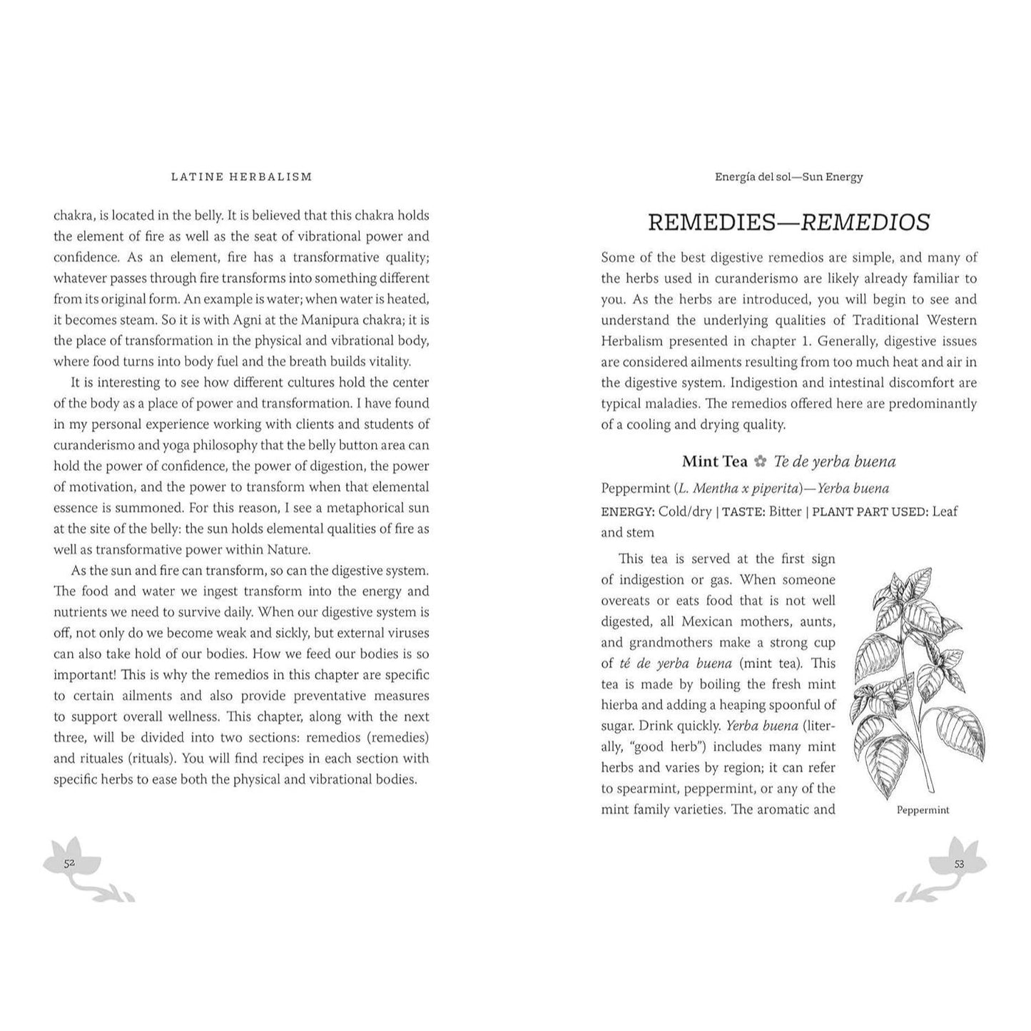 Latine Herbalism: A Beginner's Guide to Modern Curanderismo, Healing Plants, and Folk Traditions of the Americas