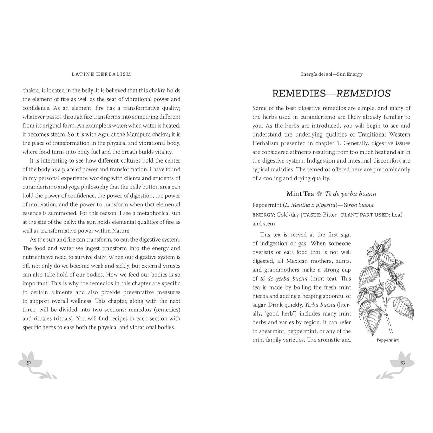 Latine Herbalism: A Beginner's Guide to Modern Curanderismo, Healing Plants, and Folk Traditions of the Americas