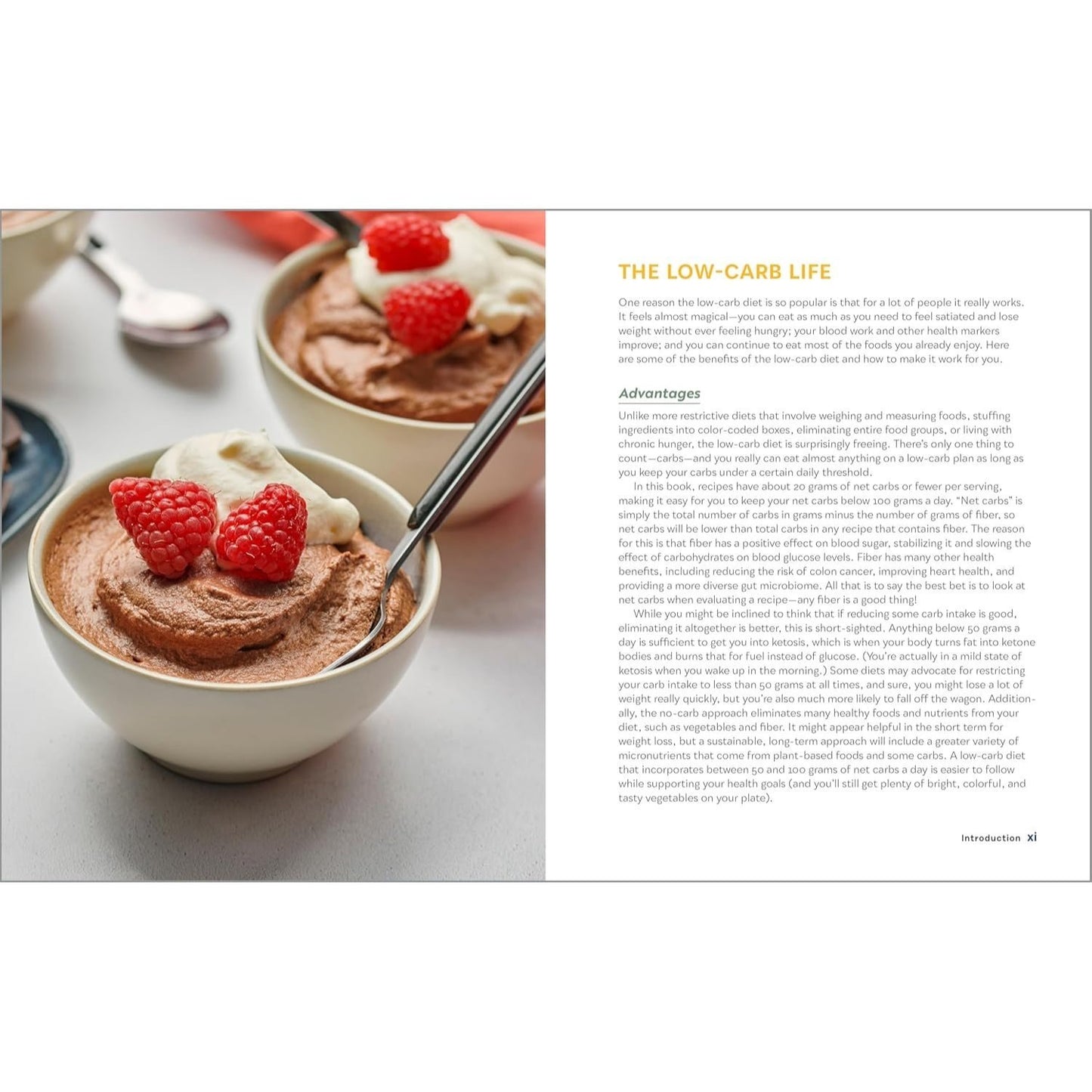 The 30-Minute Low-Carb Cookbook: 100 Simple & Satisfying Recipes for a Healthy Diet