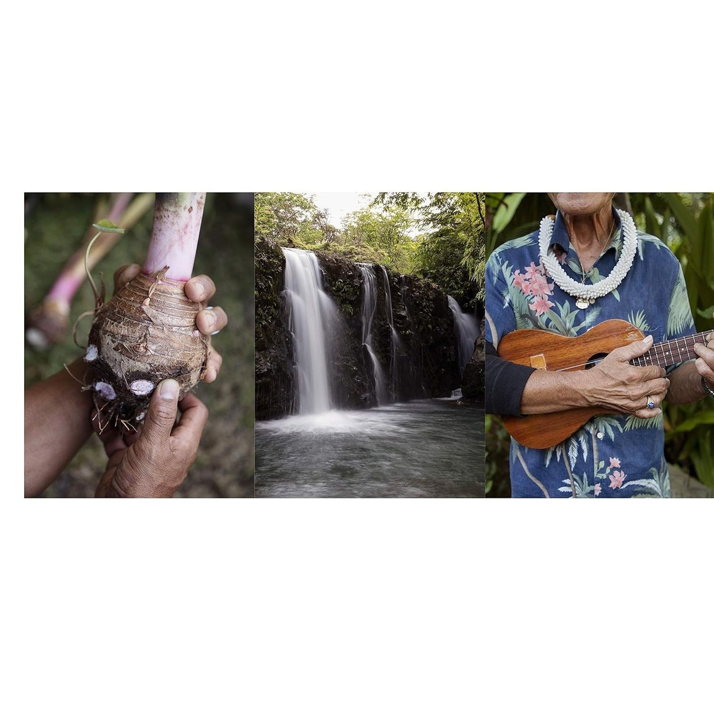 Cook Real Hawai'i: A Cookbook (Spiral Bound)