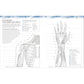The Human Body Coloring Book: The Ultimate Anatomy Study Guide, Second Edition (DK Human Body Guides)
