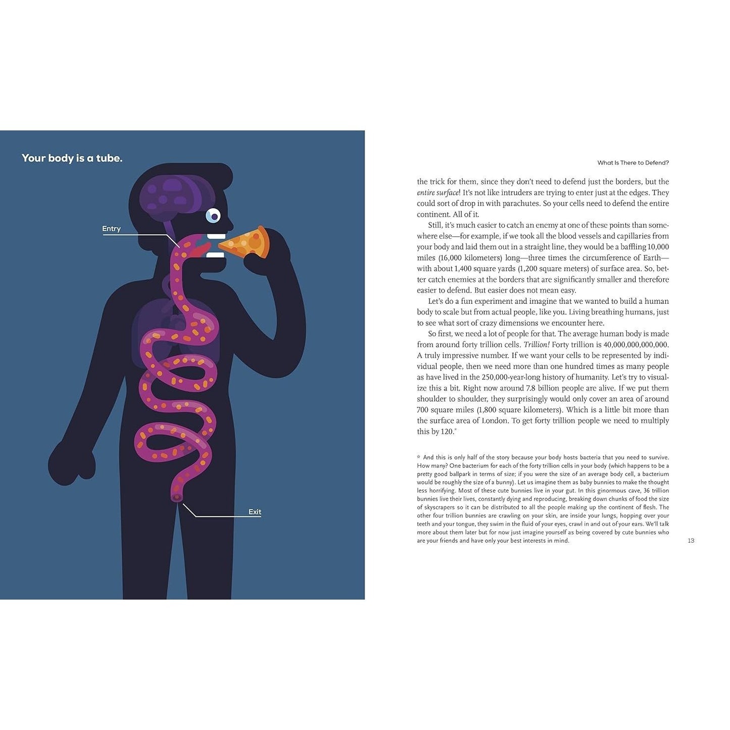 Immune: A Journey Into the Mysterious System That Keeps You Alive